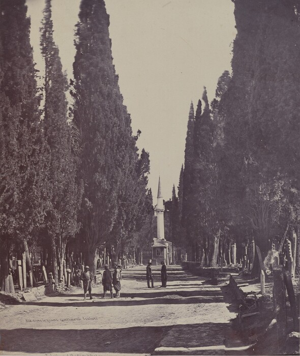 The image shows a path bordered by tall cypress trees on both sides, forming a natural archway. A slender minaret is visible in the distance at the center of the scene. The horizon is low in the frame, highlighting the vertical elements of the trees and the minaret. The composition features a range of tones from dark shadows to light highlights. The path is broad and well-lit, with some individuals walking along it. The color scheme is grayscale, typical of early black-and-white photography.