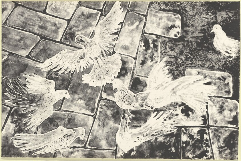 Pigeons on Cobblestone