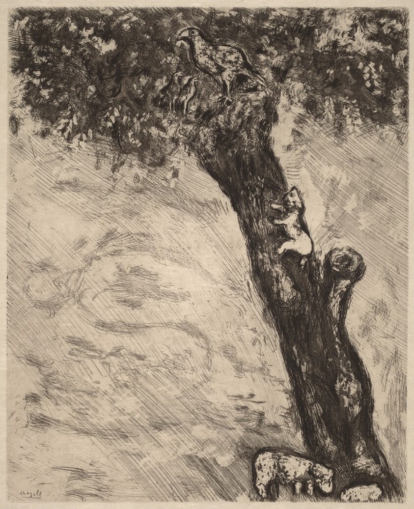 The Eagle, the Wild Sow, and the Cat