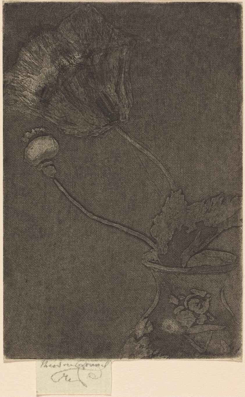 Poppy in a Vase