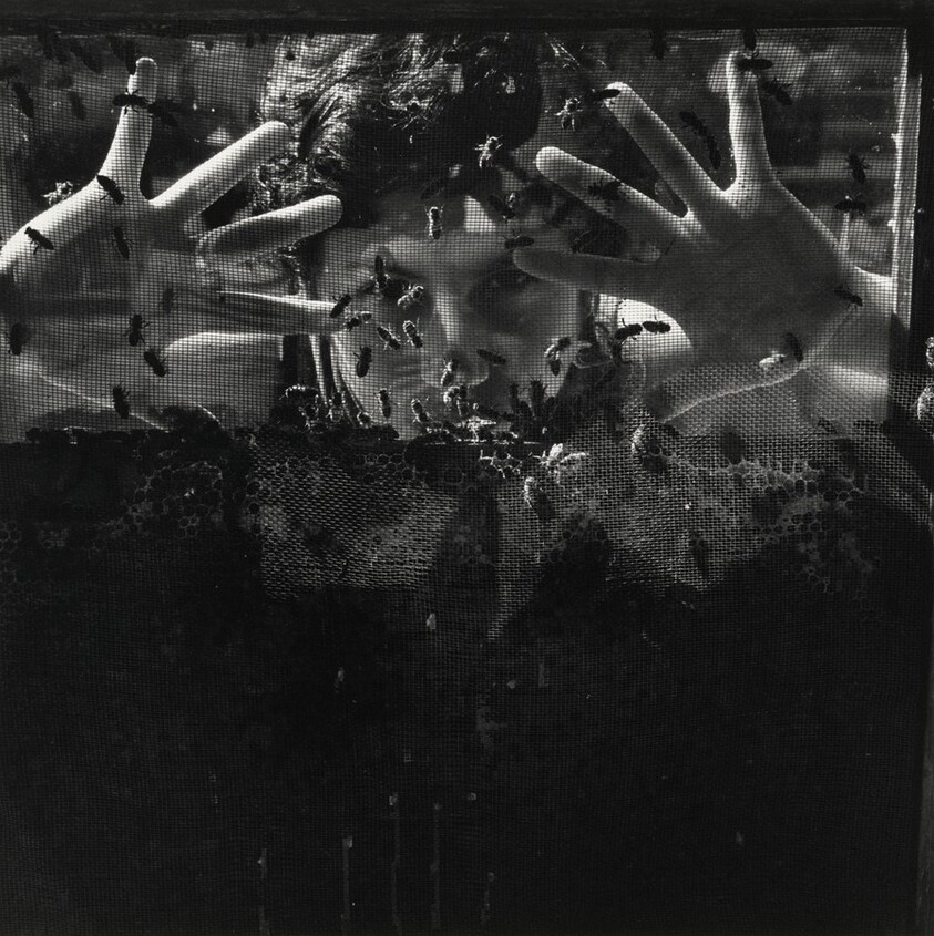 Laureana y las abejas, Xochimilco, México (Laureana and the Bees, Xochimilco, Mexico)
