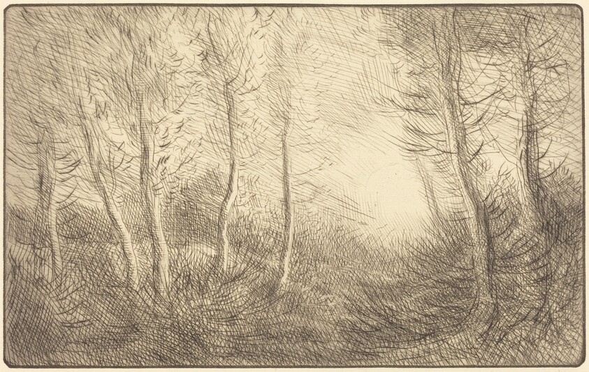 Sunrise, Woods of Clamard (Lever du soleil, bois de Clamard)