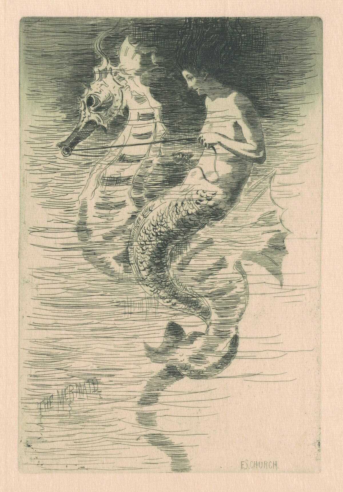 The Mermaid