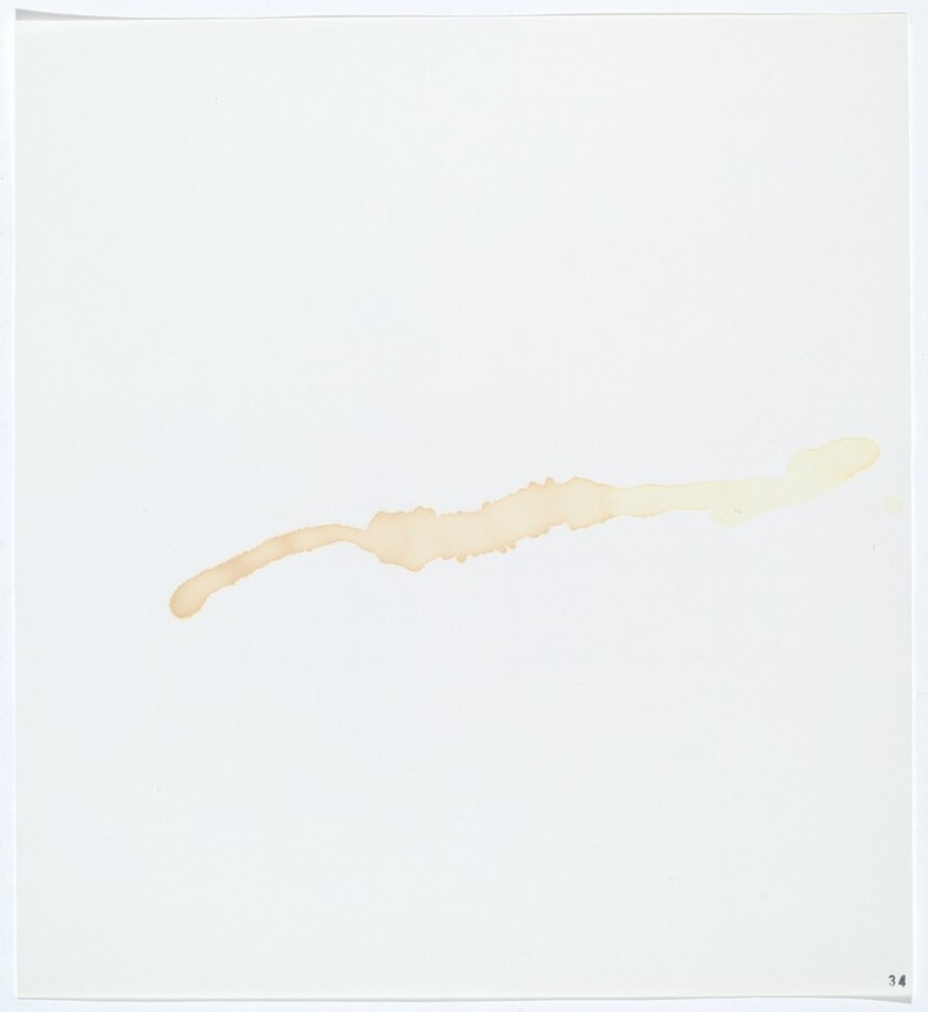 Stains: Urine (Human)