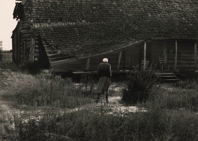 Formerly enslaved woman, Alabama