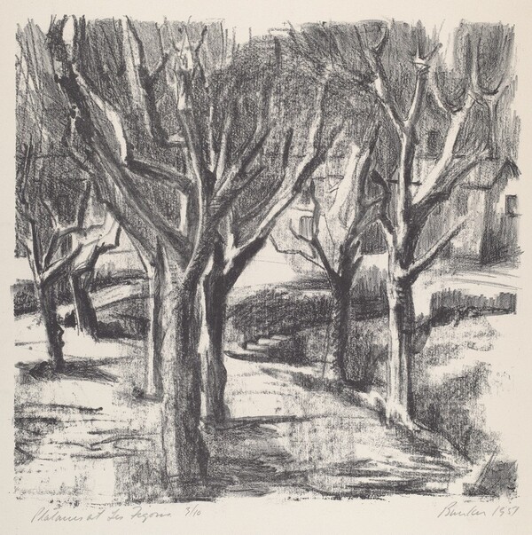 Plateau at Le Figons