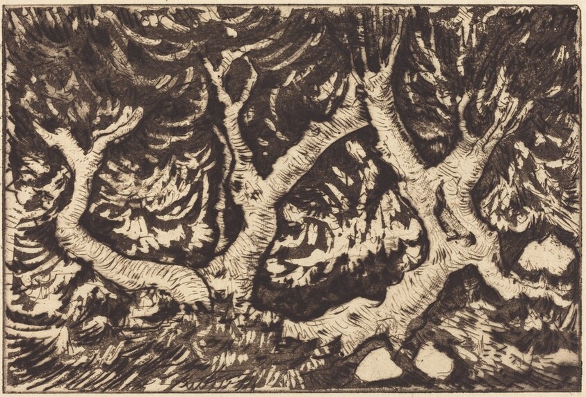 Landscape with Prominent Trees