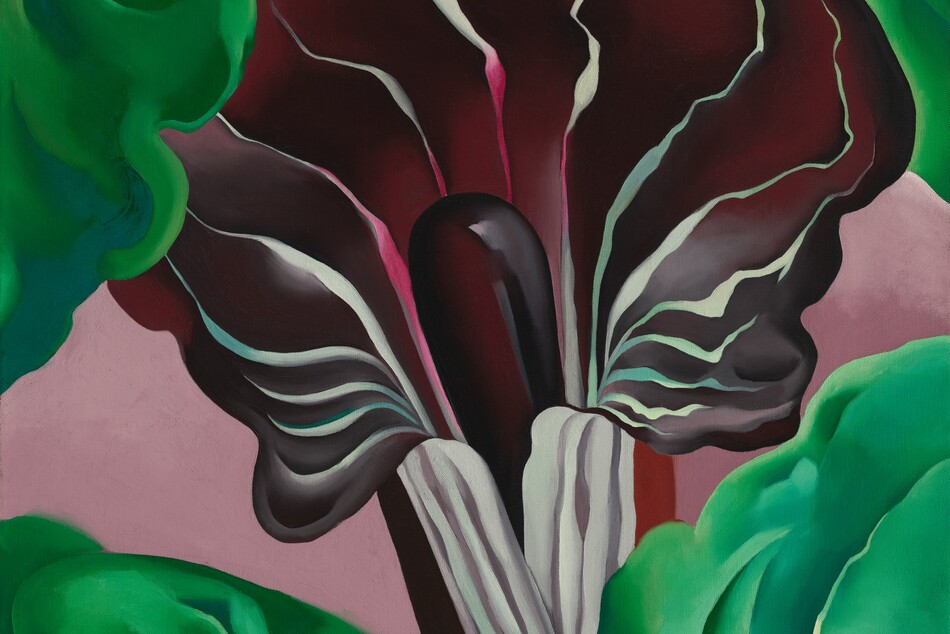 A close-up view of a deep plum-purple jack-in-the-pulpit flower surrounded by emerald-green leaves fills this vertical painting. The flower is narrow at its base, where it is striped with white and pale lilac purple, and it flares open like a trumpet in the top half of this composition. The unfurled petal is streaked with wavy white and magenta-pink veins around a deep purple tube-like stalk emerging from inside the base. Leaves in spring and kelly green billow up around the base of the flower along the bottom of the canvas, and more leaves surround the top of the flower. The area behind the pointed, curling tip of the flower glows with a lemon-lime yellow. The space around the flower and bewteen the green leaves is mauve pink.