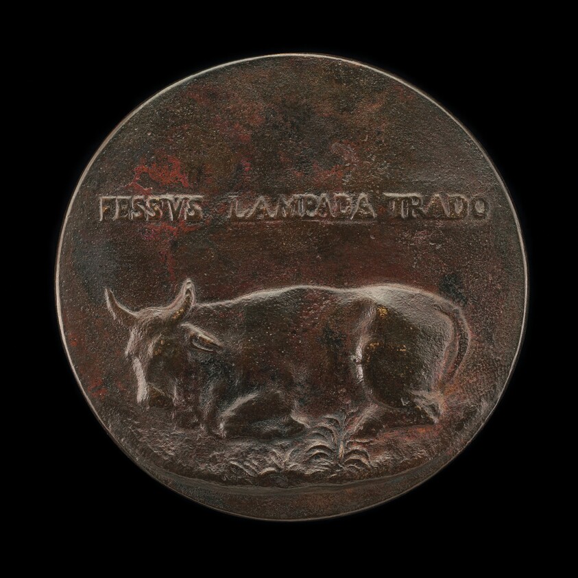 Reclining Bovine [reverse]