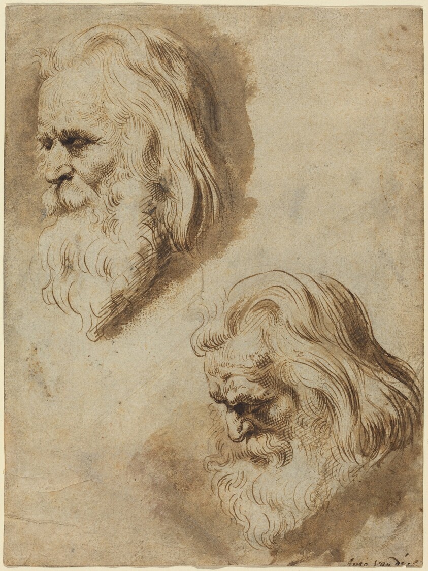 Two Studies of an Elderly Man's Head