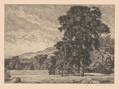 Stony Pasture