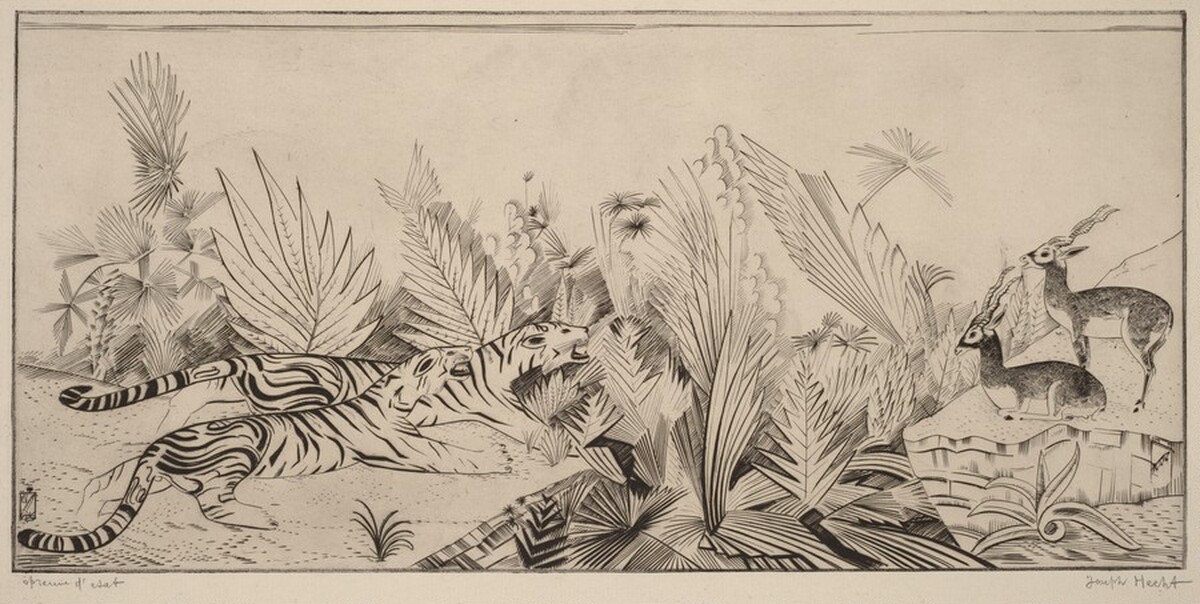 Tigers and Gazelles (Les tigres et gazelles)