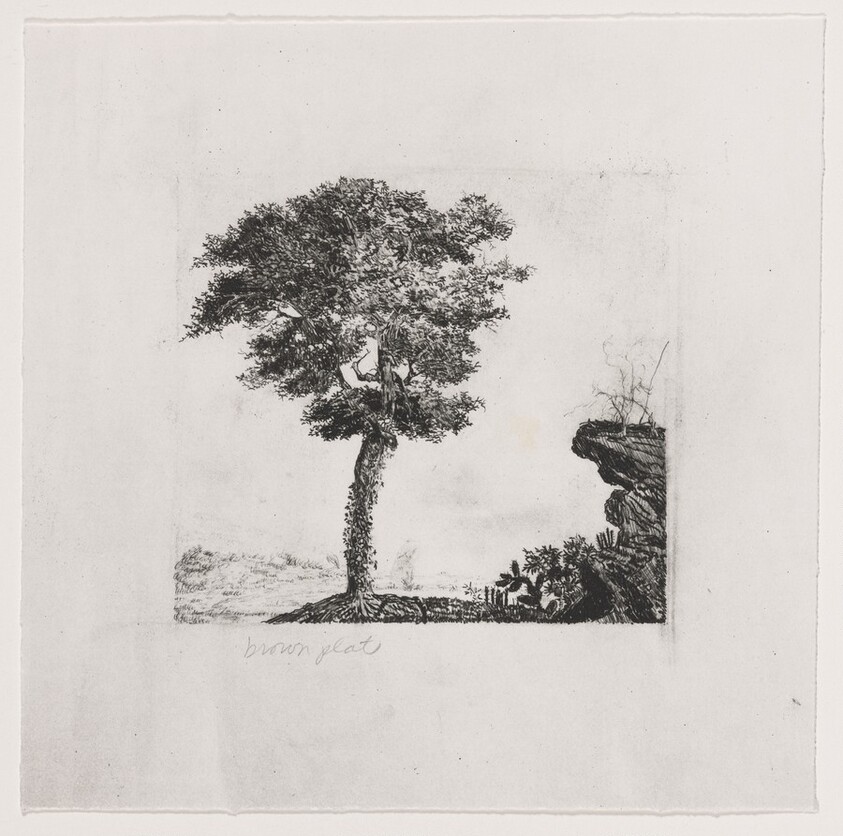 Untitled (#2) [working proof 1a]