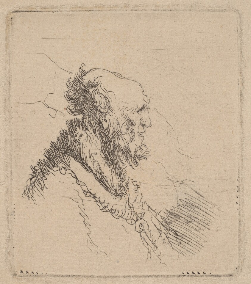 Bald Old Man with a Short Beard in Profile