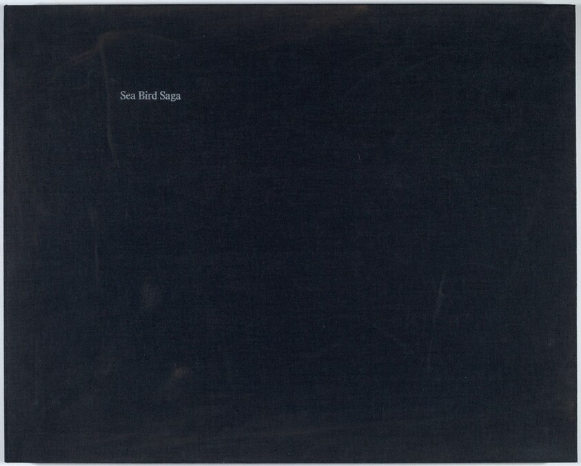 Sea Bird Saga