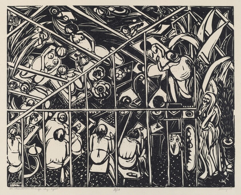 The Observation Through Skylight