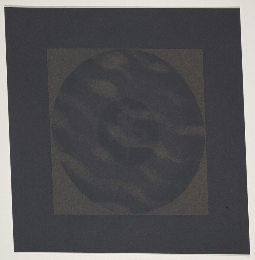 Twilight Executive Dracula