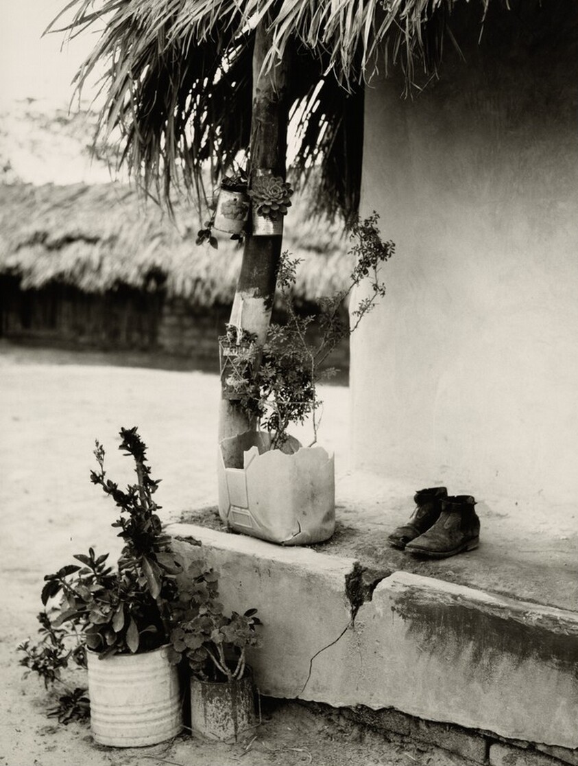 Dona Antônia's Porch, Grande Sertão Veredas National Park, Brazil