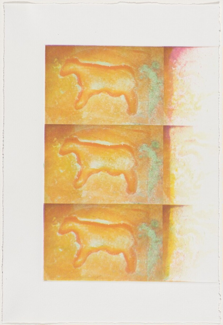 Cow Print [working proof 3]