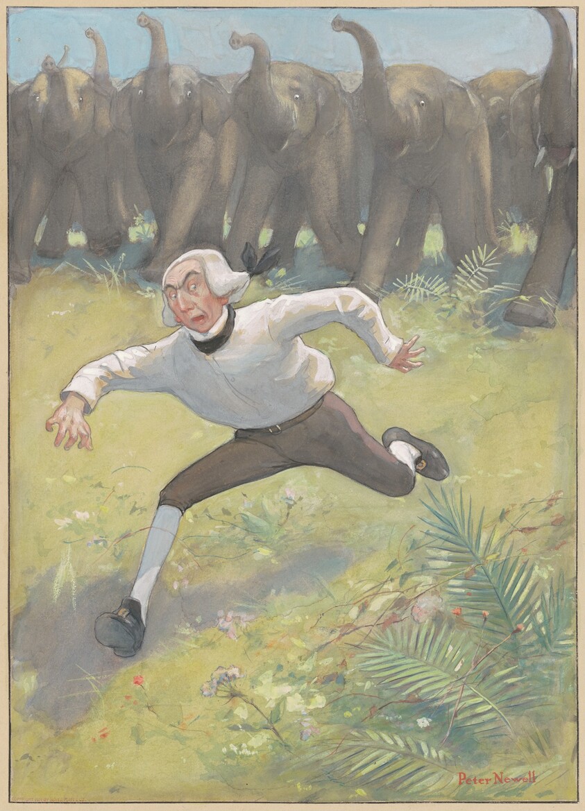 Man Running from Elephants