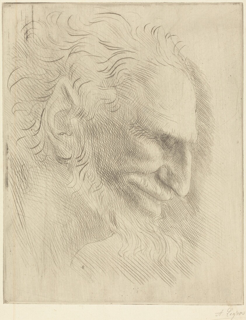 Study for the Head of a Man (Etude de tete d'homme)