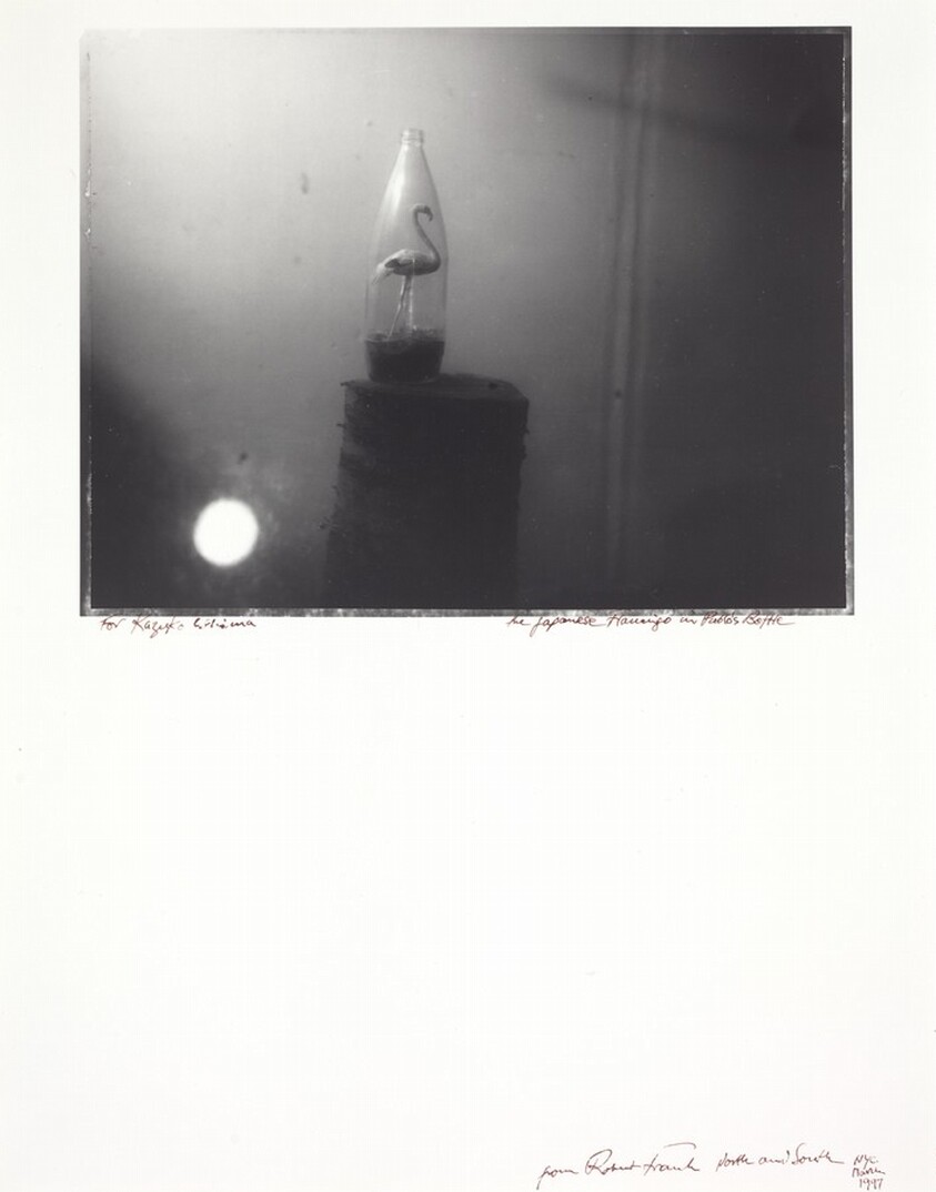 The Japanese Flamingo in Pablo's Bottle