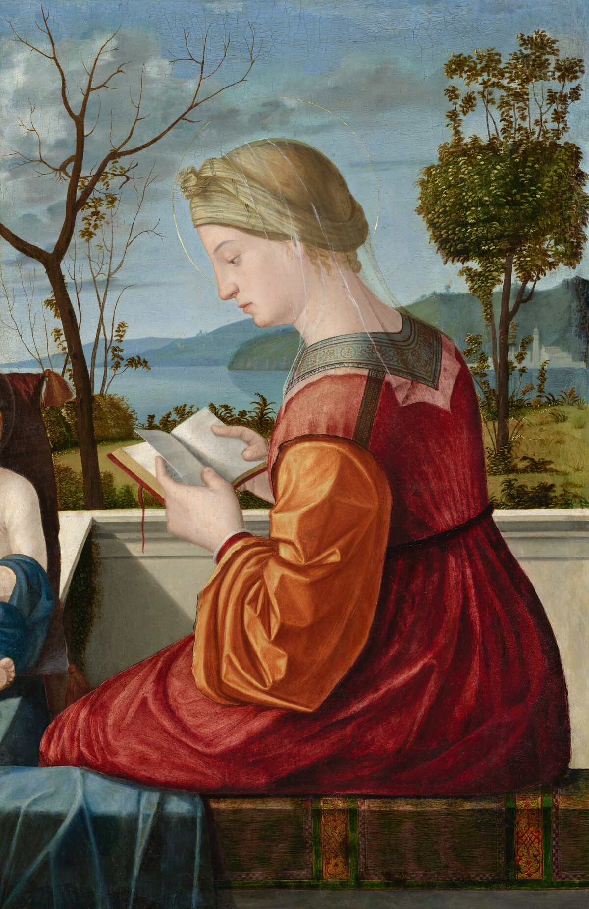 The Virgin Reading