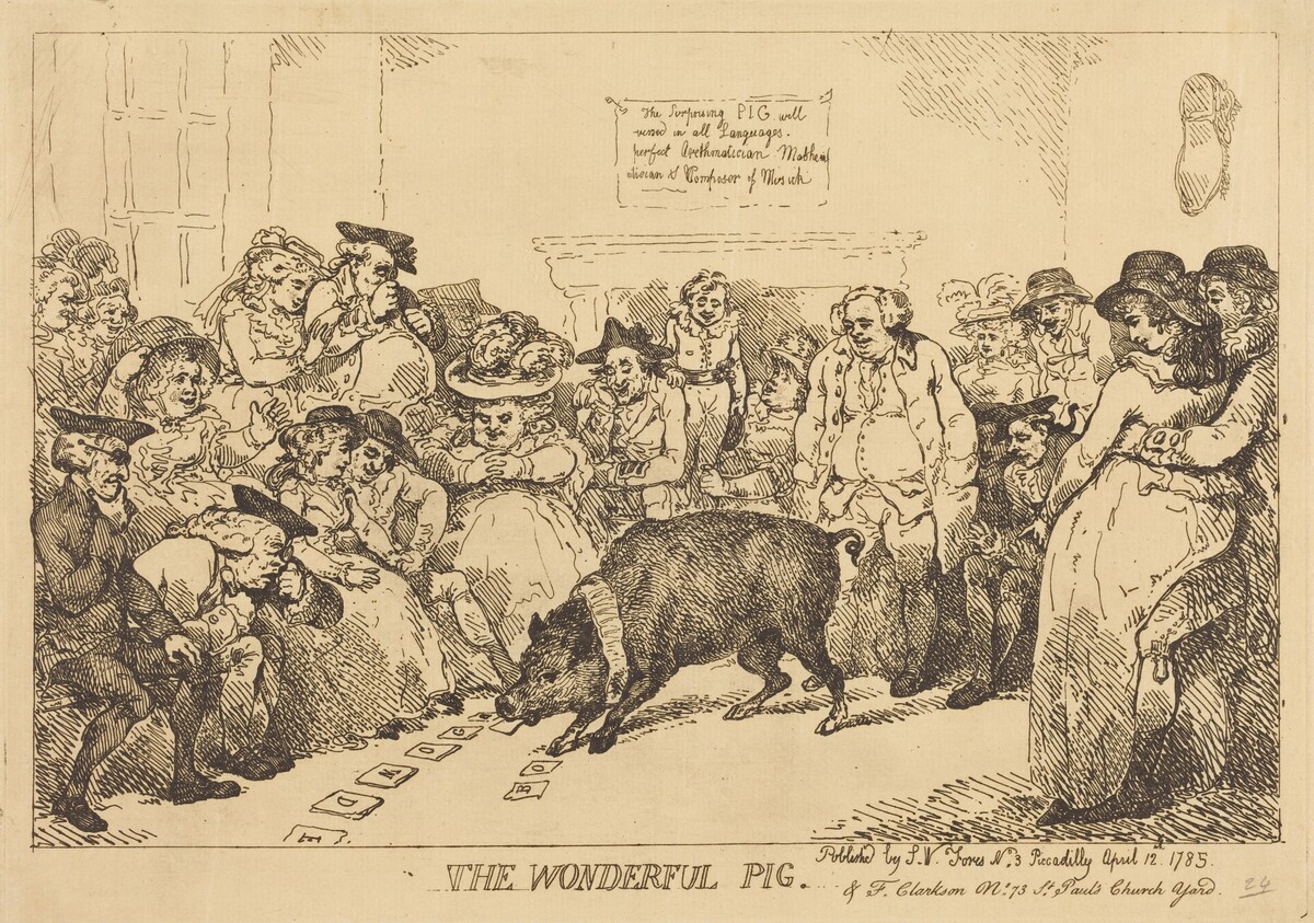 The Wonderful Pig