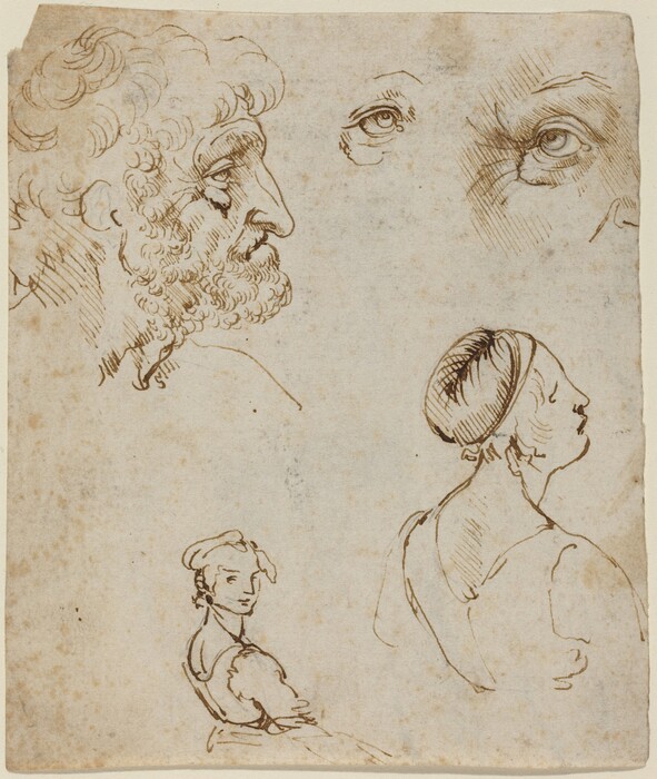 Five sketches in brown ink are spaced around a vertically oriented sheet of paper. In the top left quadrant, a bearded man faces our right in profile. He has short, curly hair, a deeply lined face, a pronounced underbite, and the tip of his long nose points down. Two independent, wrinkle-lined eyes are sketched in the top right quadrant of the page. Below are two drawings of women with their shoulders angled away from us to the right. Near the bottom left and smaller in scale, a woman looks over her shoulder at us with a slight smile on her lips. In the bottom right quadrant, a woman with her hair pulled back under a snood looks to our right in profile with her chin tipped up. The neckline of both women’s bodices dip across the shoulder blades in the back. The paper is speckled with faint brown stains and spots.