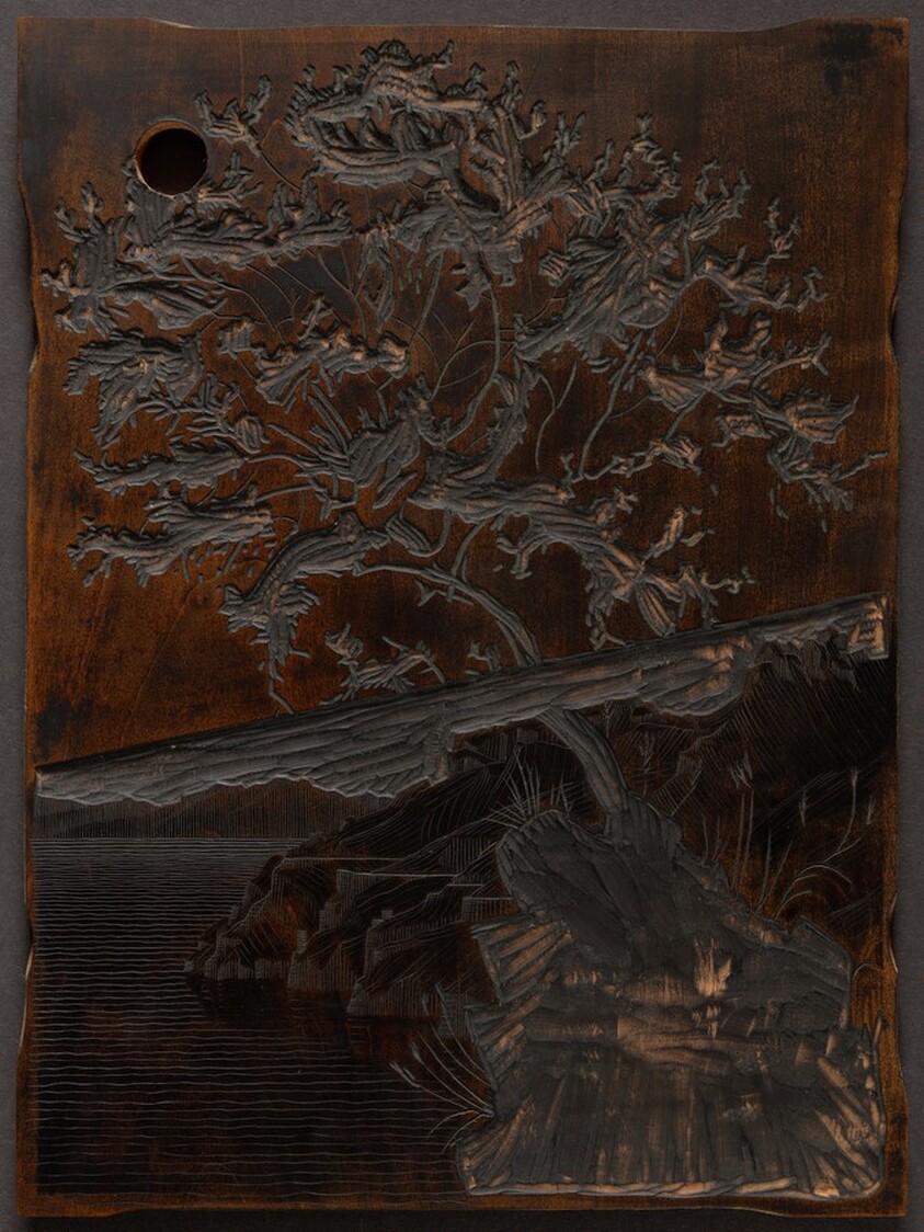 Carruba Tree (Ravello) [verso]