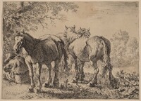 Three Horses in a Field, Pieter van Laer, 1636