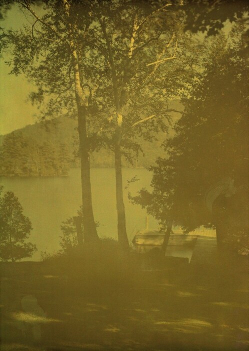 The image depicts a scene of a lake surrounded by lush greenery. The water extends into the distance with two tall trees in the center. A hillside is visible beyond the water. The painting has a serene atmosphere with soft brushstrokes and muted green, yellow, and brown tones. A dock or small structure is on the right side.