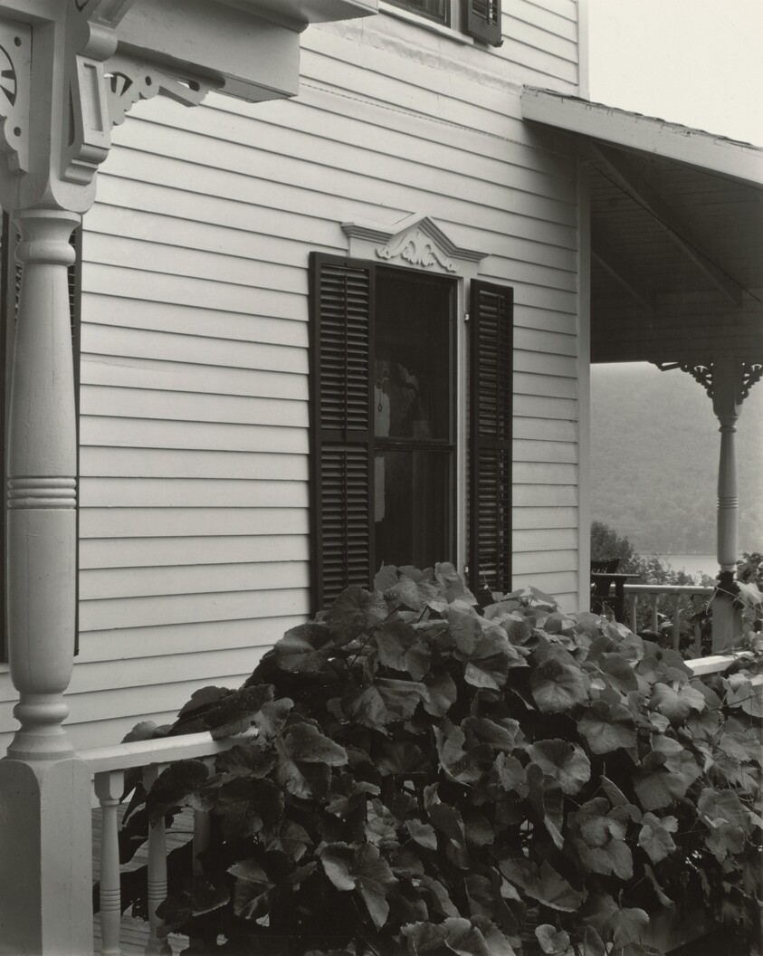 House and Grape Leaves