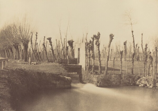 Landscape, Montebello