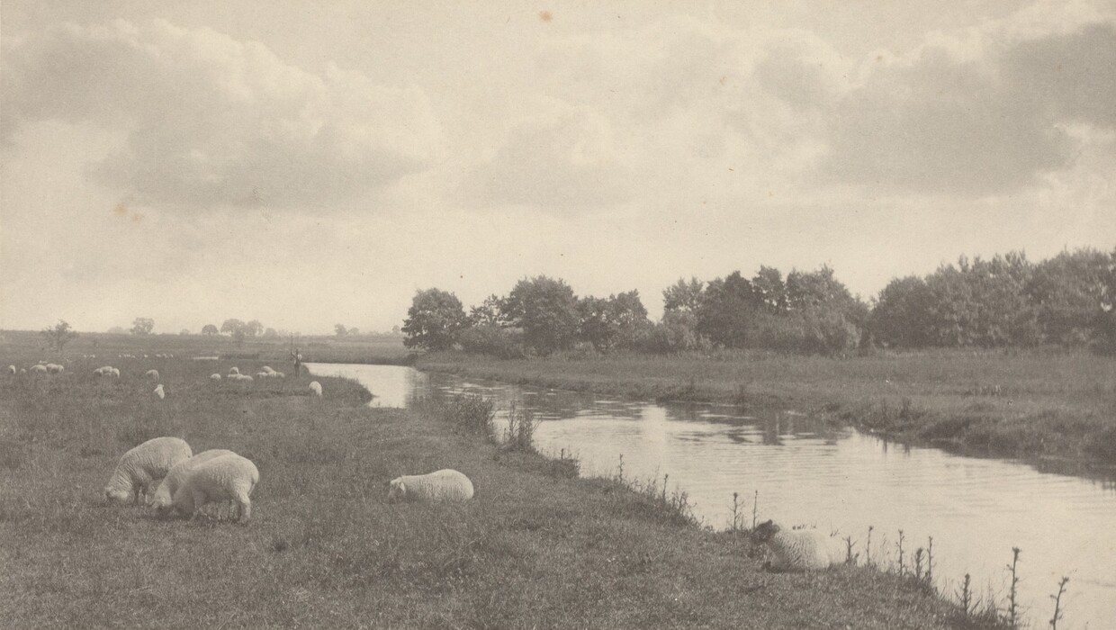 The image shows sheep grazing on grass near a calm river that winds through the landscape. In the background, a line of trees divides the field from the sky. The river narrows and disappears into the distance. The sky is filled with large clouds casting shadows over the terrain. The color palette is grayscale with variations in light tones, giving the image a serene and tranquil quality.