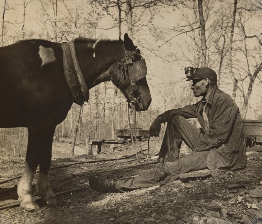 Miner and Mule