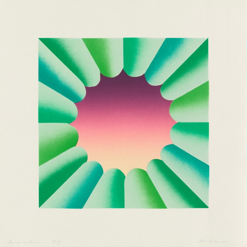 Through the Flower 2