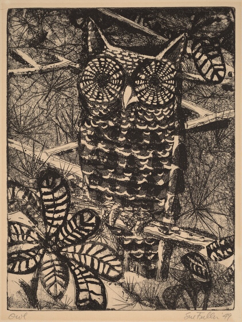 Owl