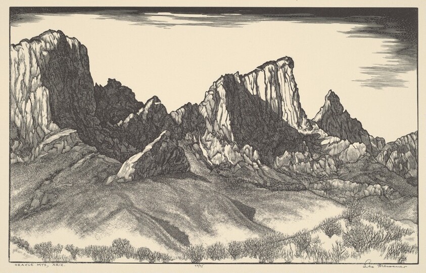 Oracle Mountains, Arizona