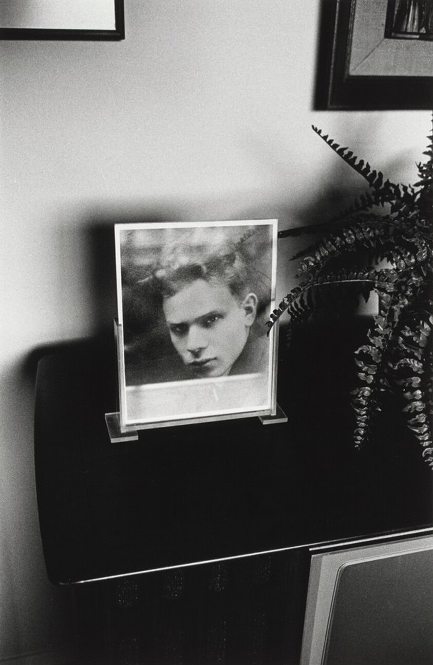 Camarillo, California