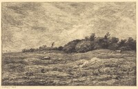 The Meadow at Grave, near Villerville  (Le Pre des Graves, a Villerville), Charles-François Daubigny, 1875