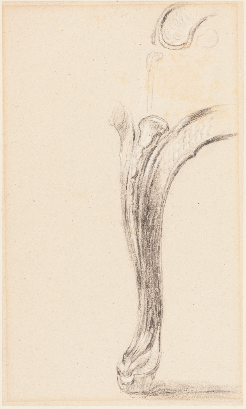 Study of a Chair Leg