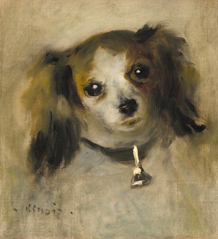 The head and floppy ears of a dog with a delicate muzzle are loosely painted in this vertical portrait. The dog’s head is cocked to our left, and it looks at us with large, glistening black eyes. Its fur is mottled caramel brown, black, and dark gray except for a white blaze on its forehead and down around its mouth. A silver bell glints on a black collar. The dog’s body fades out below the collar, and that area and the background are painted with strokes of oyster white and a few areas of shale blue. The artist signed the lower left corner, “Renoir.”