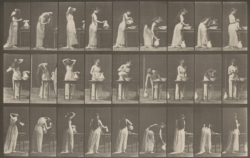 Plate Number 496. Miscellaneous phases of the toilet