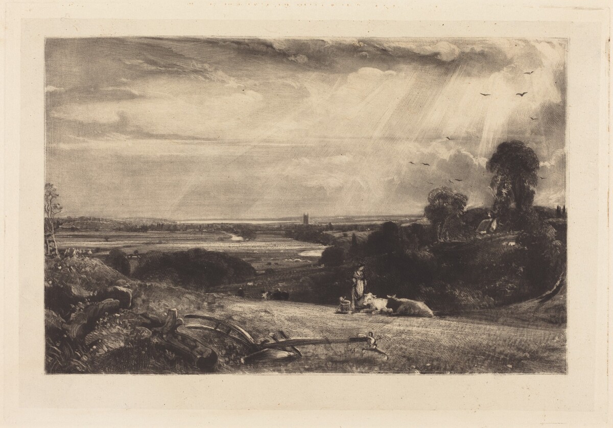 Summer Morning