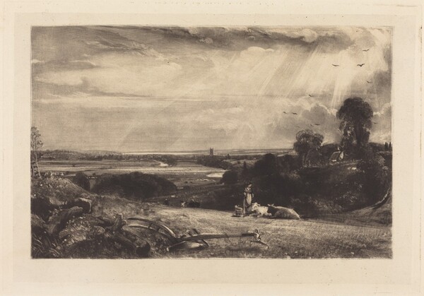 Summer Morning
