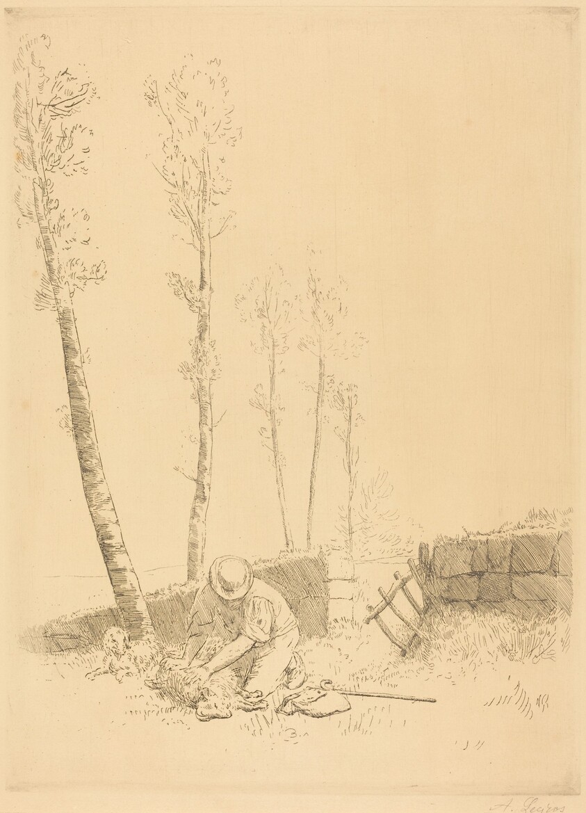 Finding the Sheep (Le mouton retrouve)