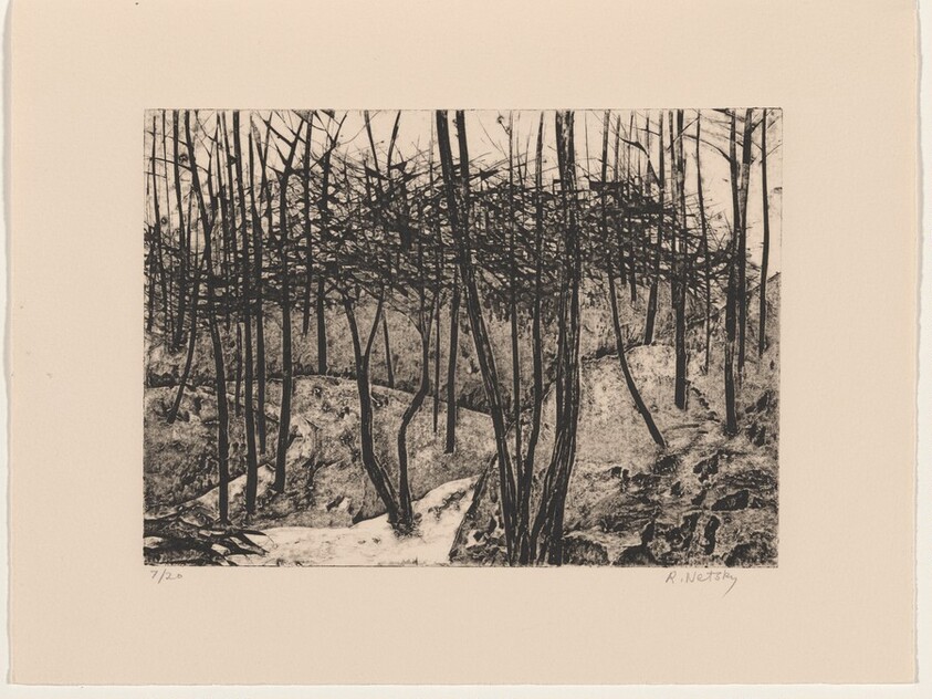 Wissahickon Landscape