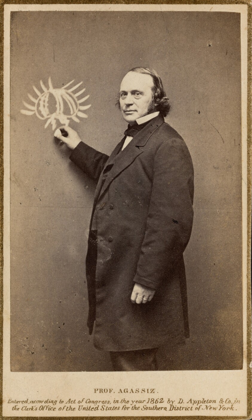 Louis Agassiz