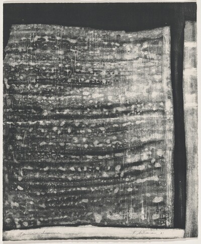 Fragments VI